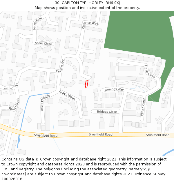 30, CARLTON TYE, HORLEY, RH6 9XJ: Location map and indicative extent of plot