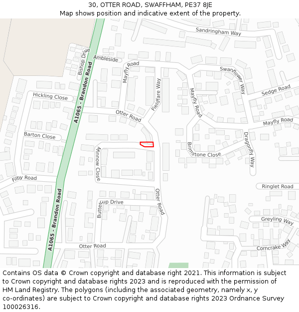 30, OTTER ROAD, SWAFFHAM, PE37 8JE: Location map and indicative extent of plot