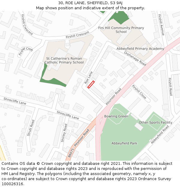 30, ROE LANE, SHEFFIELD, S3 9AJ: Location map and indicative extent of plot