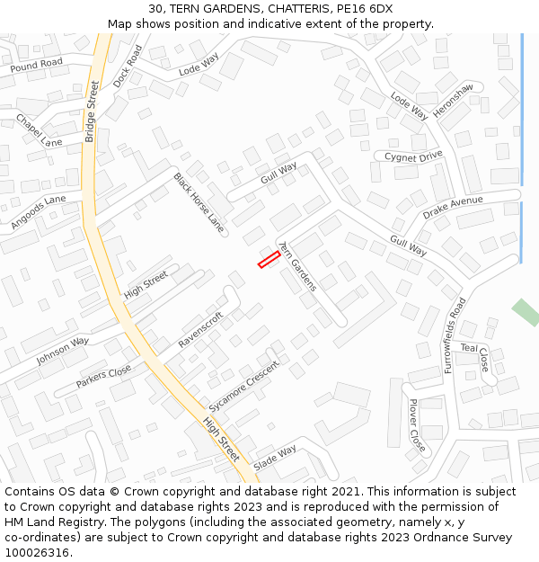30, TERN GARDENS, CHATTERIS, PE16 6DX: Location map and indicative extent of plot