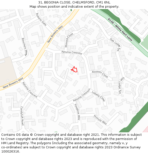 31, BEGONIA CLOSE, CHELMSFORD, CM1 6NL: Location map and indicative extent of plot