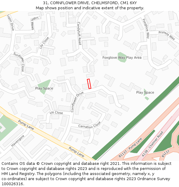 31, CORNFLOWER DRIVE, CHELMSFORD, CM1 6XY: Location map and indicative extent of plot