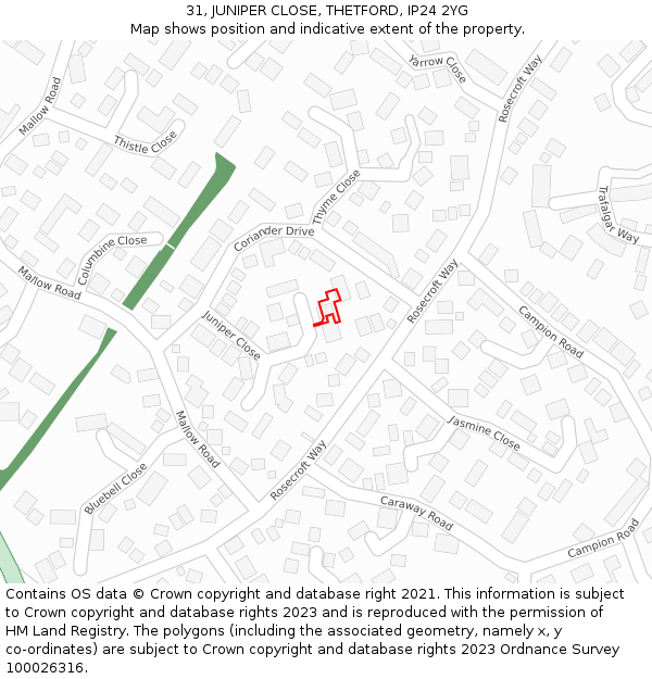 31, JUNIPER CLOSE, THETFORD, IP24 2YG: Location map and indicative extent of plot