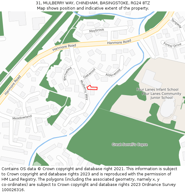31, MULBERRY WAY, CHINEHAM, BASINGSTOKE, RG24 8TZ: Location map and indicative extent of plot