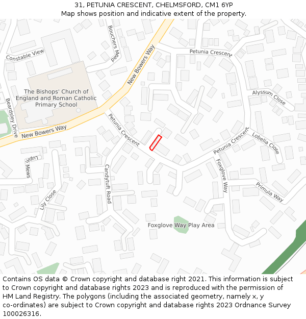 31, PETUNIA CRESCENT, CHELMSFORD, CM1 6YP: Location map and indicative extent of plot