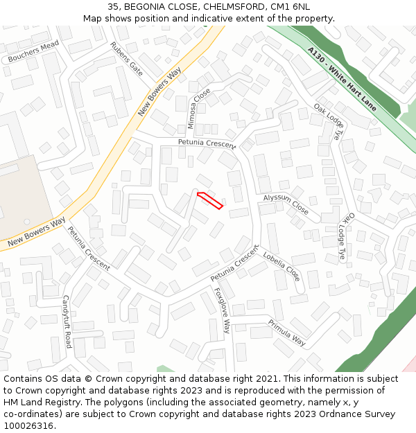 35, BEGONIA CLOSE, CHELMSFORD, CM1 6NL: Location map and indicative extent of plot