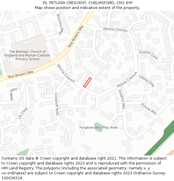 35, PETUNIA CRESCENT, CHELMSFORD, CM1 6YP: Location map and indicative extent of plot