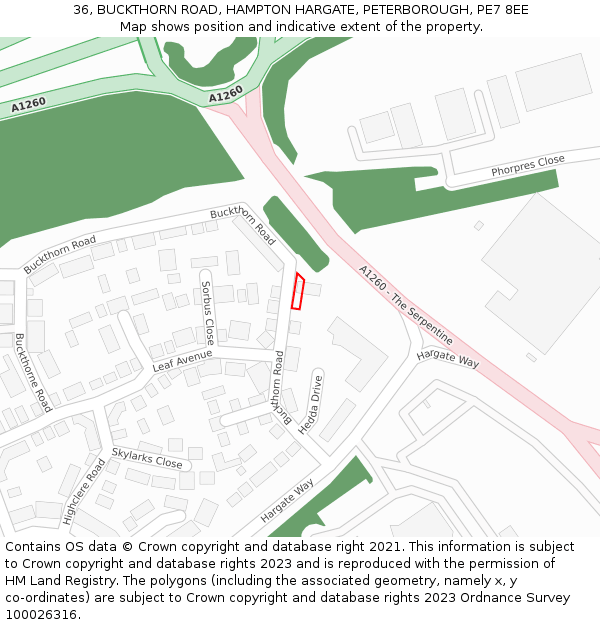 36, BUCKTHORN ROAD, HAMPTON HARGATE, PETERBOROUGH, PE7 8EE: Location map and indicative extent of plot