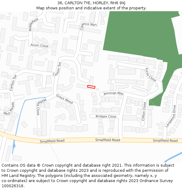 36, CARLTON TYE, HORLEY, RH6 9XJ: Location map and indicative extent of plot