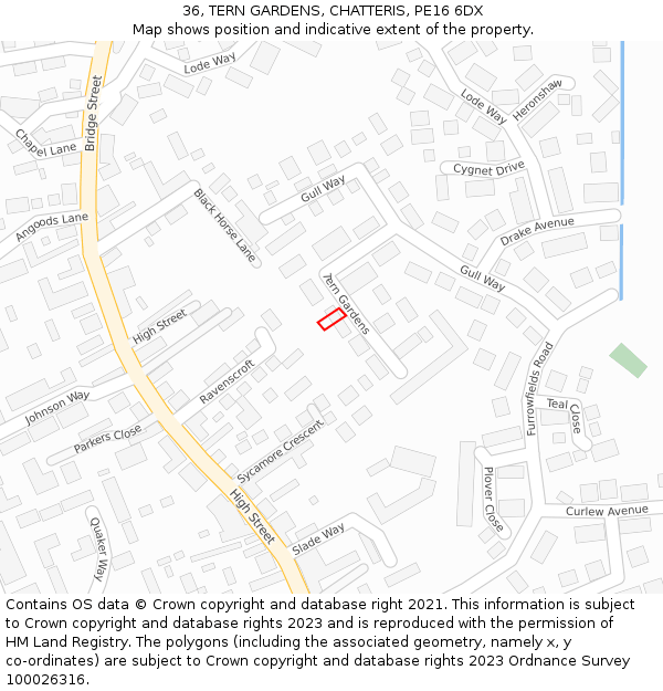 36, TERN GARDENS, CHATTERIS, PE16 6DX: Location map and indicative extent of plot