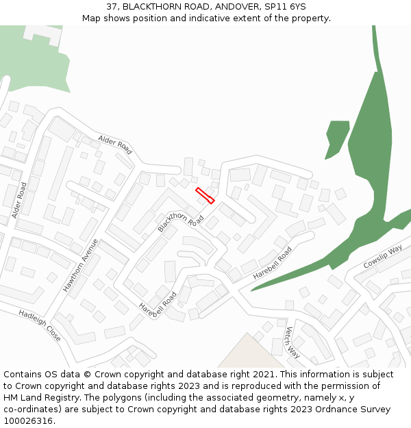 37, BLACKTHORN ROAD, ANDOVER, SP11 6YS: Location map and indicative extent of plot