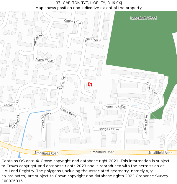 37, CARLTON TYE, HORLEY, RH6 9XJ: Location map and indicative extent of plot