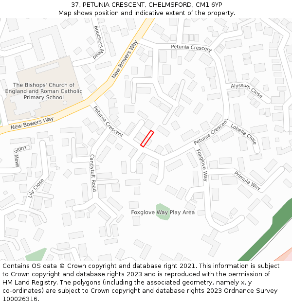 37, PETUNIA CRESCENT, CHELMSFORD, CM1 6YP: Location map and indicative extent of plot