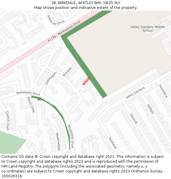 38, BIRKDALE, WHITLEY BAY, NE25 9LY: Location map and indicative extent of plot