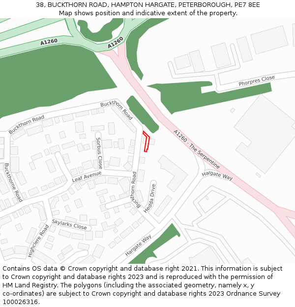 38, BUCKTHORN ROAD, HAMPTON HARGATE, PETERBOROUGH, PE7 8EE: Location map and indicative extent of plot