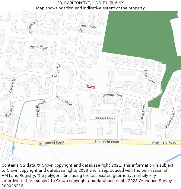 38, CARLTON TYE, HORLEY, RH6 9XJ: Location map and indicative extent of plot
