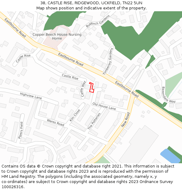 38, CASTLE RISE, RIDGEWOOD, UCKFIELD, TN22 5UN: Location map and indicative extent of plot