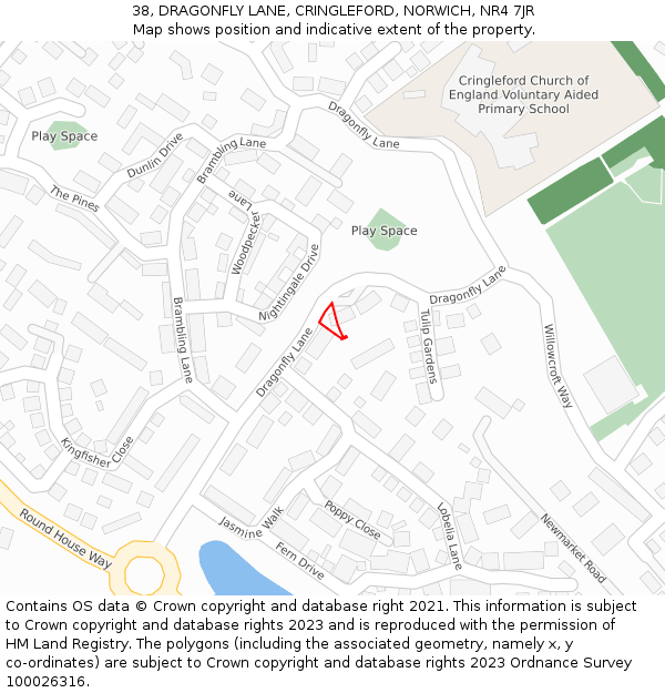 38, DRAGONFLY LANE, CRINGLEFORD, NORWICH, NR4 7JR: Location map and indicative extent of plot
