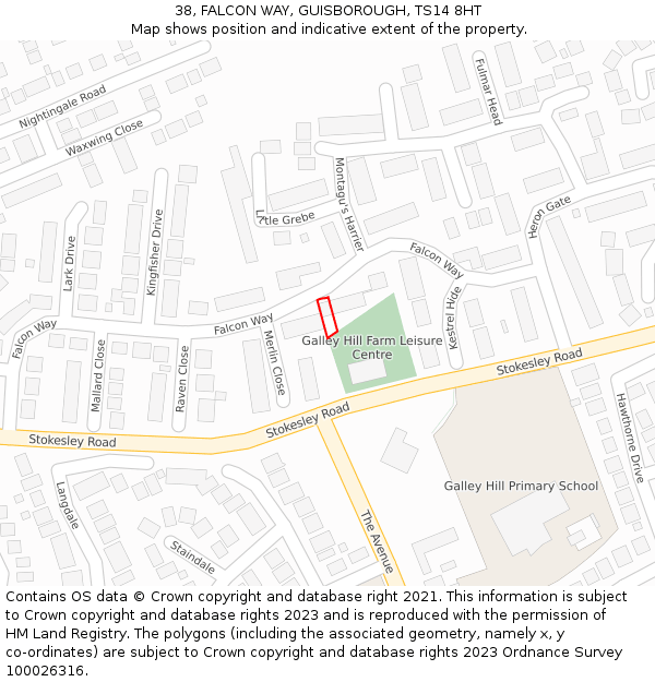 38, FALCON WAY, GUISBOROUGH, TS14 8HT: Location map and indicative extent of plot