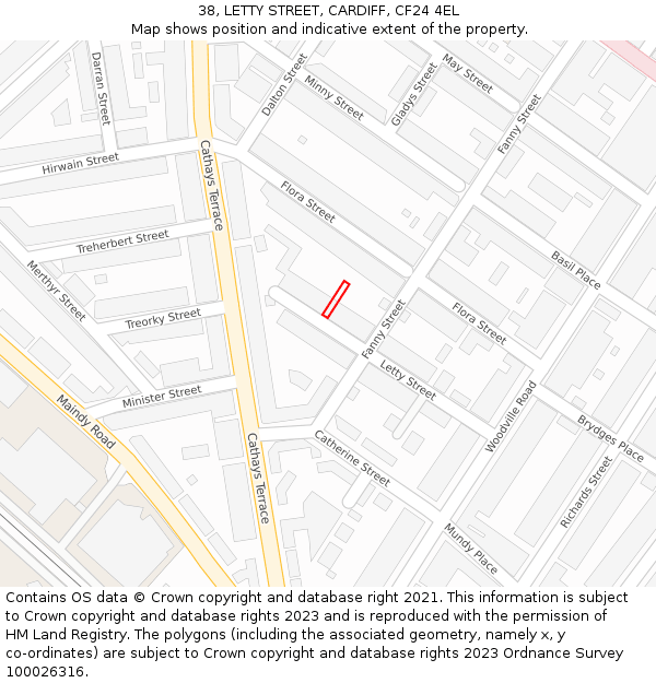 38, LETTY STREET, CARDIFF, CF24 4EL: Location map and indicative extent of plot