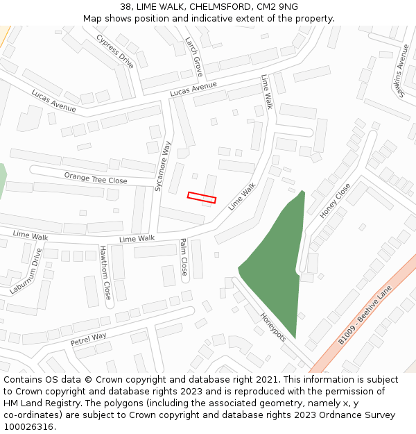 38, LIME WALK, CHELMSFORD, CM2 9NG: Location map and indicative extent of plot