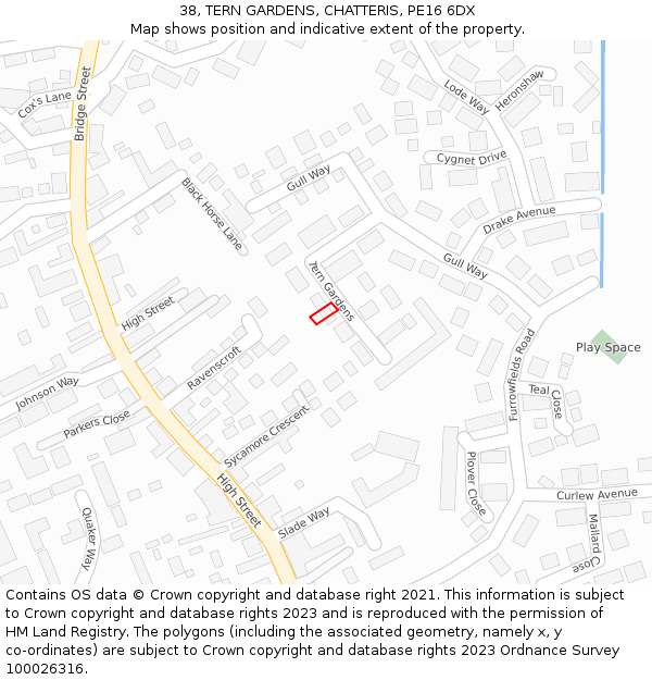 38, TERN GARDENS, CHATTERIS, PE16 6DX: Location map and indicative extent of plot
