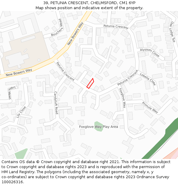 39, PETUNIA CRESCENT, CHELMSFORD, CM1 6YP: Location map and indicative extent of plot