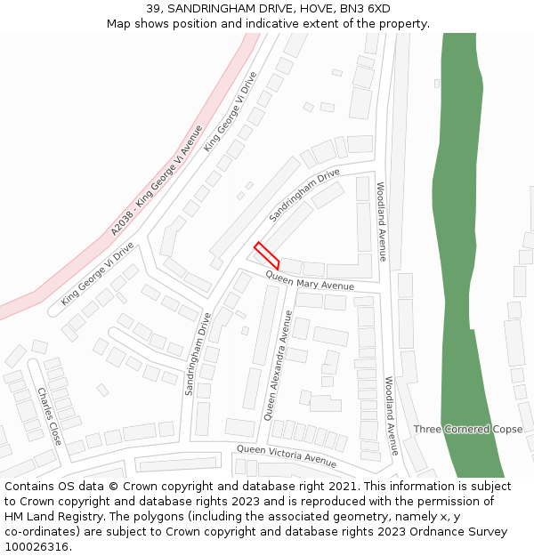 39, SANDRINGHAM DRIVE, HOVE, BN3 6XD: Location map and indicative extent of plot