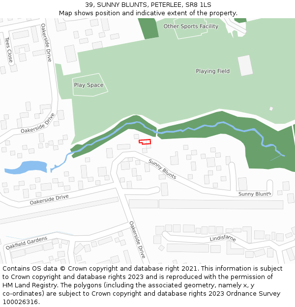 39, SUNNY BLUNTS, PETERLEE, SR8 1LS: Location map and indicative extent of plot