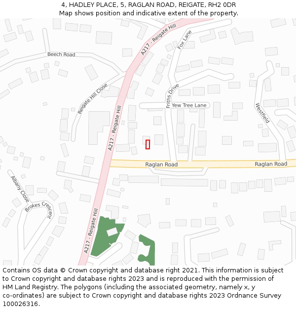 4, HADLEY PLACE, 5, RAGLAN ROAD, REIGATE, RH2 0DR: Location map and indicative extent of plot