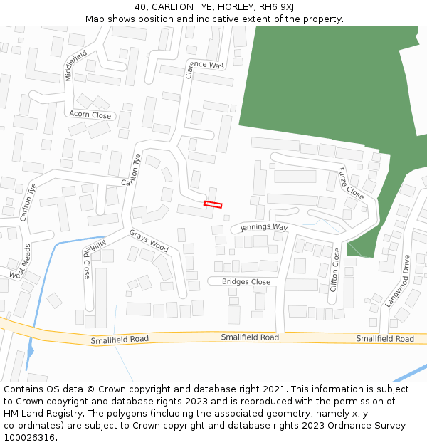 40, CARLTON TYE, HORLEY, RH6 9XJ: Location map and indicative extent of plot