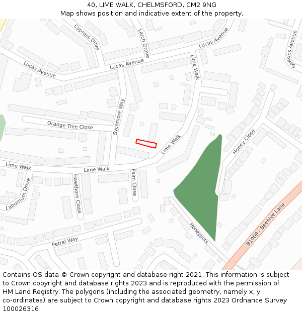 40, LIME WALK, CHELMSFORD, CM2 9NG: Location map and indicative extent of plot
