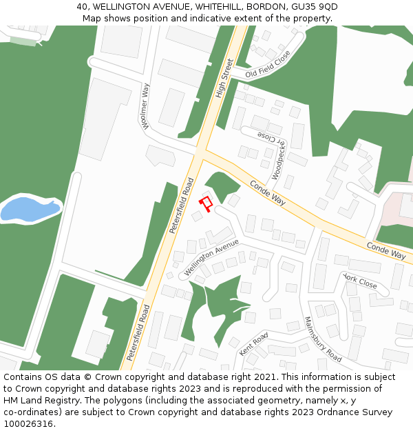 40, WELLINGTON AVENUE, WHITEHILL, BORDON, GU35 9QD: Location map and indicative extent of plot