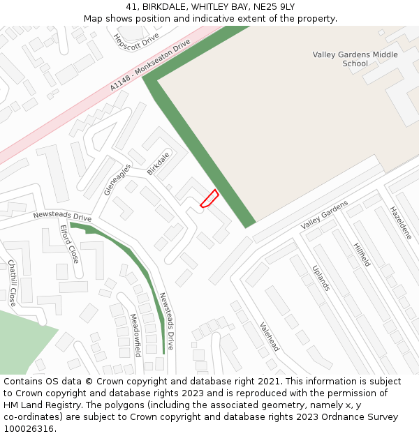 41, BIRKDALE, WHITLEY BAY, NE25 9LY: Location map and indicative extent of plot