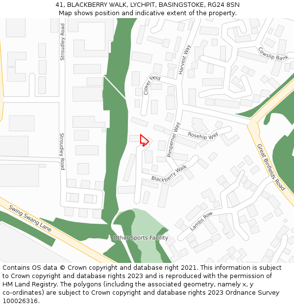 41, BLACKBERRY WALK, LYCHPIT, BASINGSTOKE, RG24 8SN: Location map and indicative extent of plot