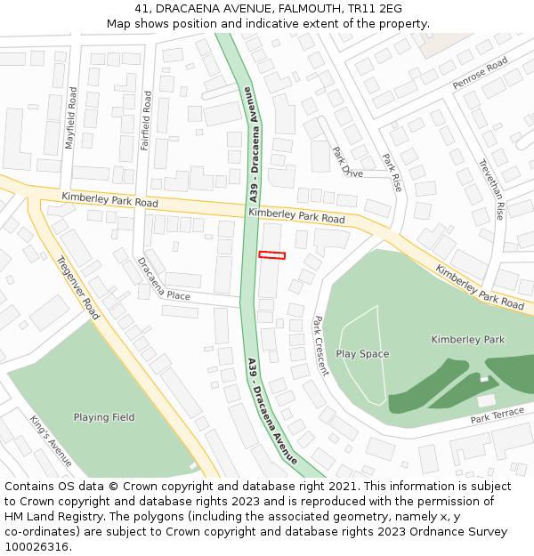 41, DRACAENA AVENUE, FALMOUTH, TR11 2EG: Location map and indicative extent of plot