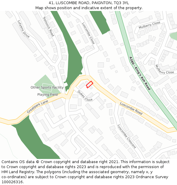 41, LUSCOMBE ROAD, PAIGNTON, TQ3 3YL: Location map and indicative extent of plot