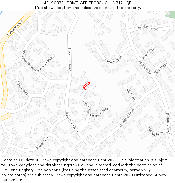 41, SORREL DRIVE, ATTLEBOROUGH, NR17 1QR: Location map and indicative extent of plot