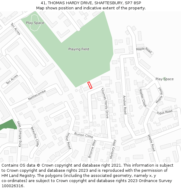 41, THOMAS HARDY DRIVE, SHAFTESBURY, SP7 8SP: Location map and indicative extent of plot