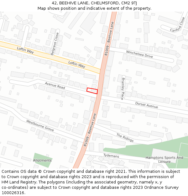 42, BEEHIVE LANE, CHELMSFORD, CM2 9TJ: Location map and indicative extent of plot