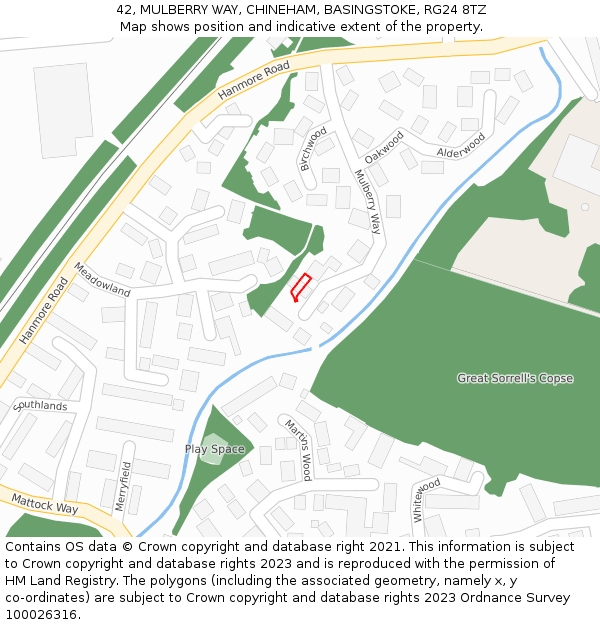 42, MULBERRY WAY, CHINEHAM, BASINGSTOKE, RG24 8TZ: Location map and indicative extent of plot