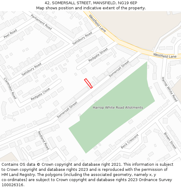42, SOMERSALL STREET, MANSFIELD, NG19 6EP: Location map and indicative extent of plot