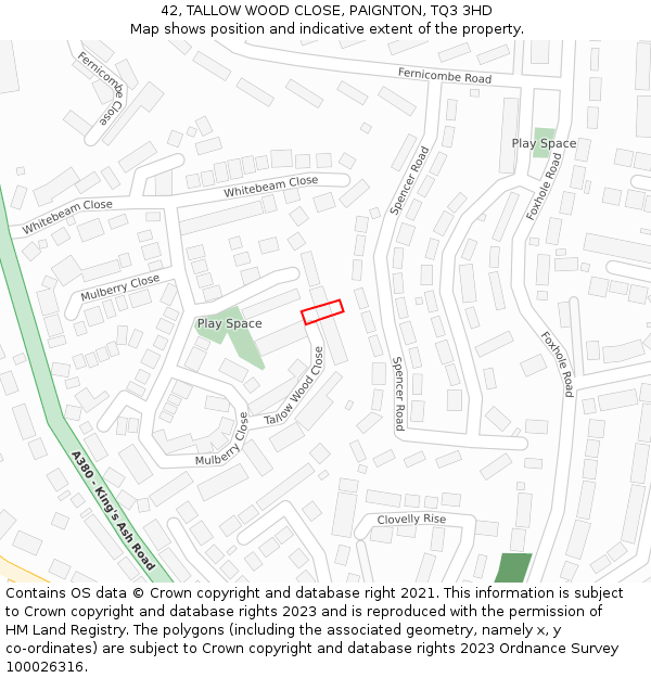 42, TALLOW WOOD CLOSE, PAIGNTON, TQ3 3HD: Location map and indicative extent of plot