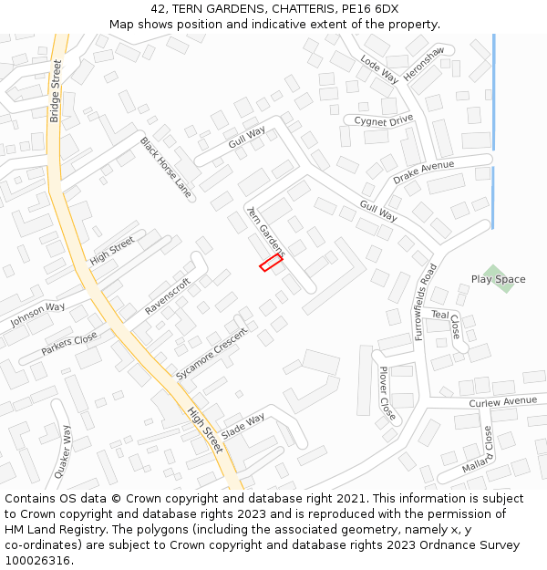 42, TERN GARDENS, CHATTERIS, PE16 6DX: Location map and indicative extent of plot