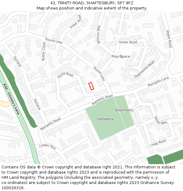42, TRINITY ROAD, SHAFTESBURY, SP7 8FZ: Location map and indicative extent of plot