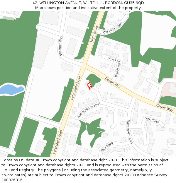 42, WELLINGTON AVENUE, WHITEHILL, BORDON, GU35 9QD: Location map and indicative extent of plot