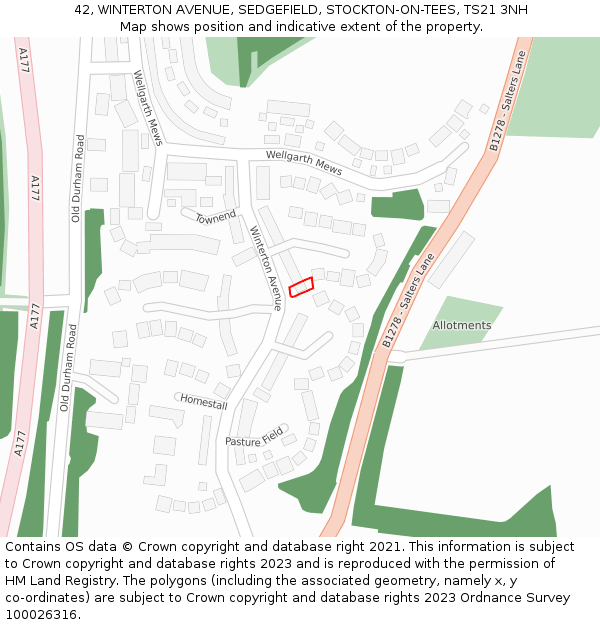 42, WINTERTON AVENUE, SEDGEFIELD, STOCKTON-ON-TEES, TS21 3NH: Location map and indicative extent of plot