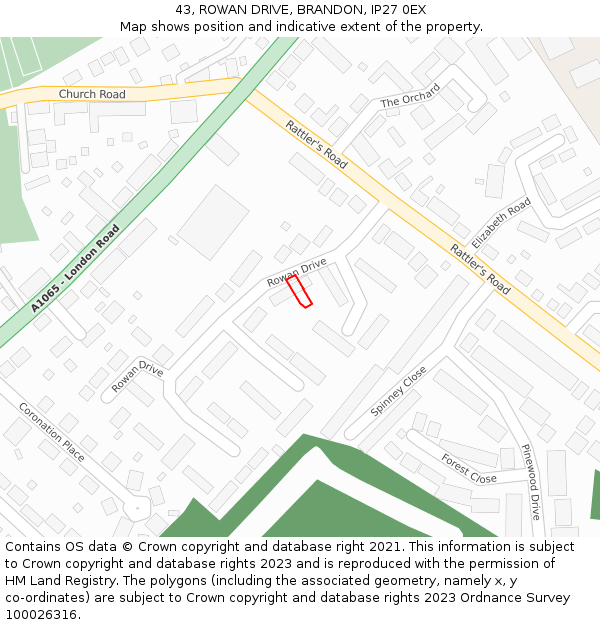 43, ROWAN DRIVE, BRANDON, IP27 0EX: Location map and indicative extent of plot