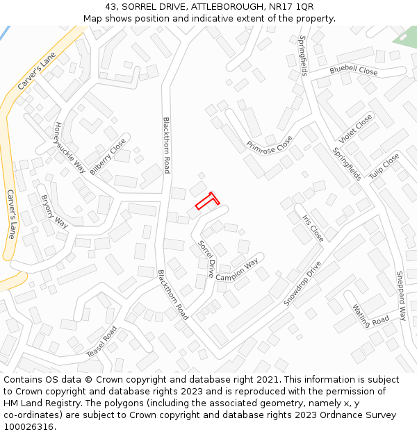 43, SORREL DRIVE, ATTLEBOROUGH, NR17 1QR: Location map and indicative extent of plot