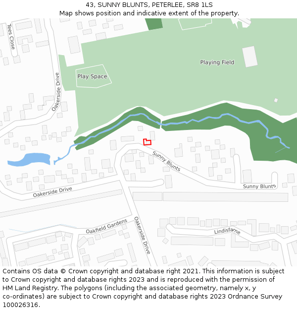 43, SUNNY BLUNTS, PETERLEE, SR8 1LS: Location map and indicative extent of plot